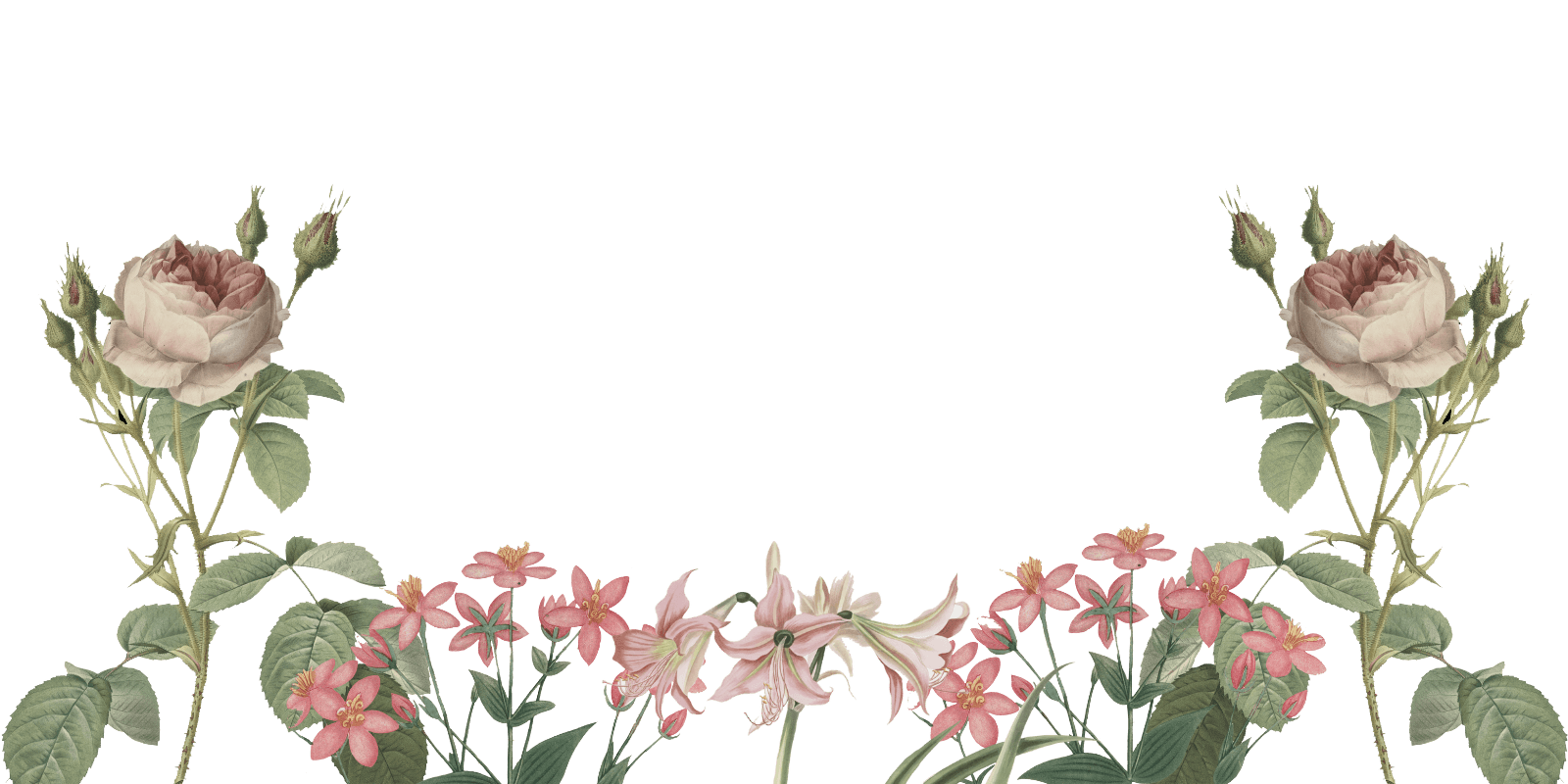 Alina Tapardel - Cover Photo